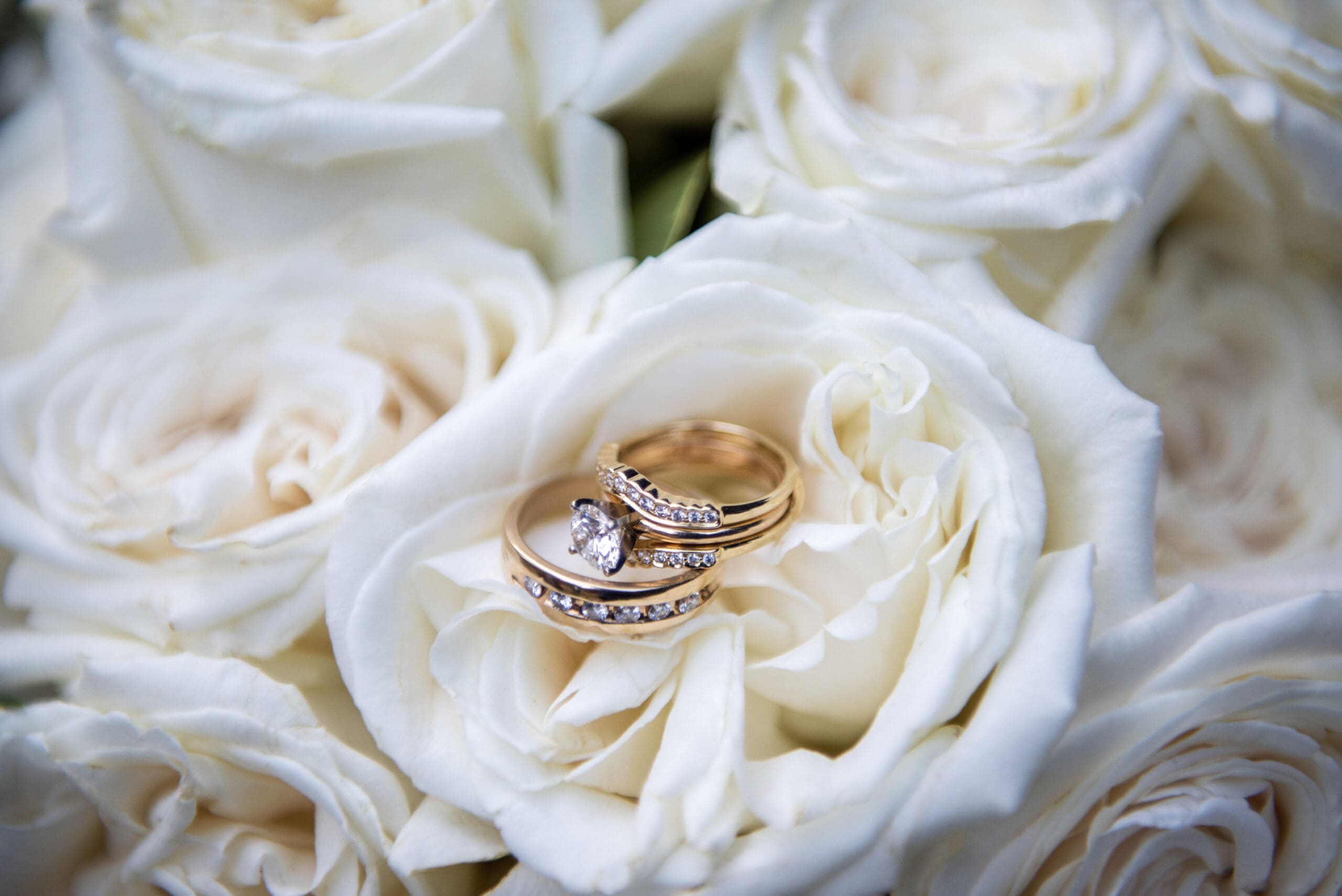 Wedding rings on flowers